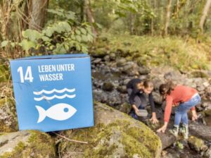 Zwei Mädchen in einem Bachbett suchen nach kleinen Tiefen und Pflanzen.