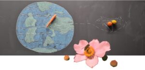 Eine graue Tafel mit aufgemalter Erdkugel, daneben die zeichnung eines Flugzeugs. Auf der Tafel Früchte und eine Karotte. Im Vordergrund eine Rosenblüte mit Biene.