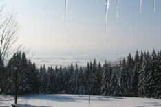 Kienberg-Winterzimmer-quadratisch